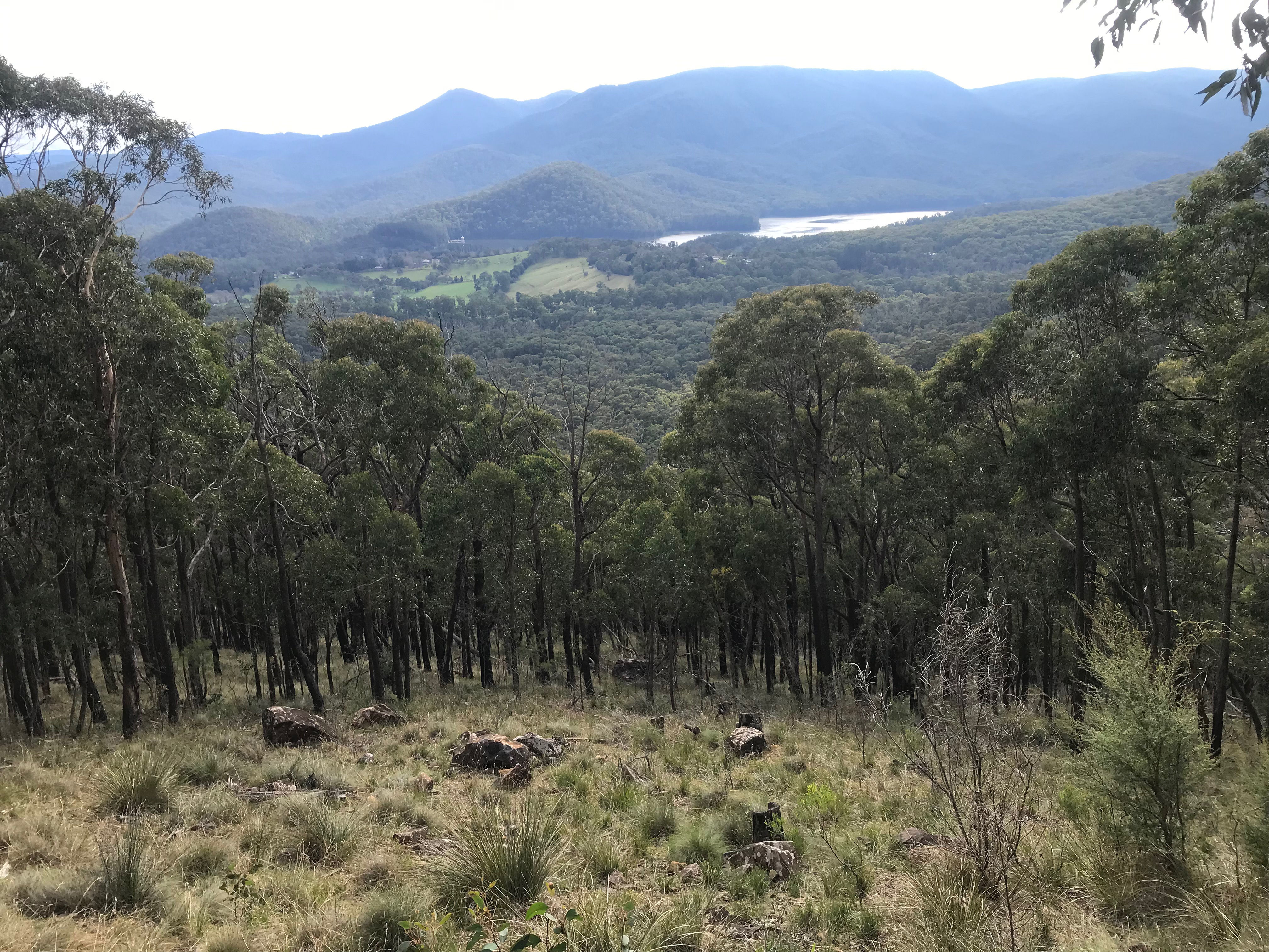 Mount Riddell | Gerry Roberts