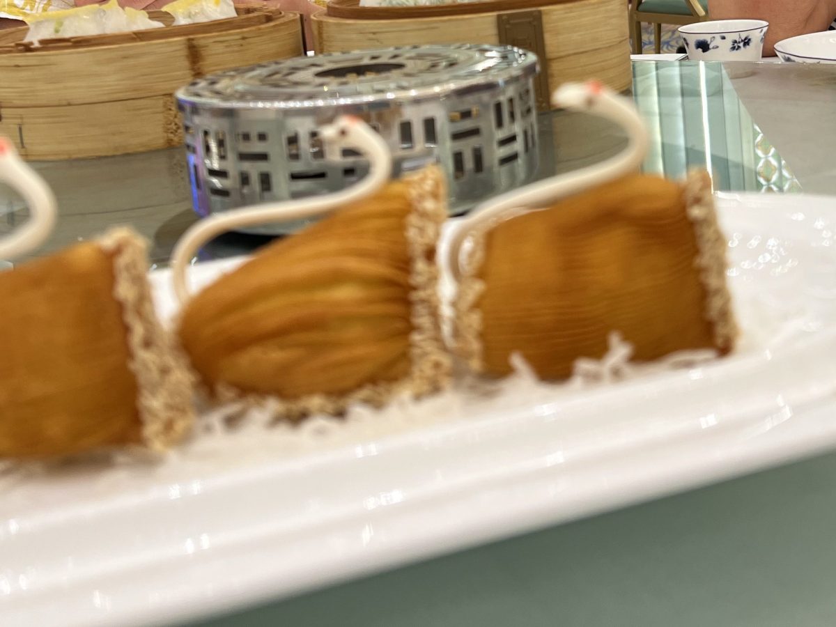 Impressions of Guangzhou&nbsp;2025